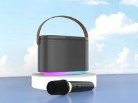 Haut-parleur portable Son de haute qualité avec double fonction de micro sans fil Prise en charge du haut-parleur TF USB AUX Bt pour les activités de plein air en intérieur