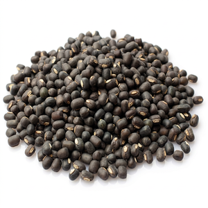 Haricots Urad Indiens Frais de Saison, Gramme Noire Premium, Marque Internationale FitTree, Origine Gujarat, Durée de Conservation 24 Mois, Vrac 25kg - Product Image 1