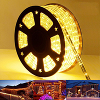 Guirlande LED IP65 5m/10m en rouleau, télécommande, découpable, 3000K, 150ft, pour extérieur, Noël, bâtiments, aménagement paysager, chemins, bordures, festivals