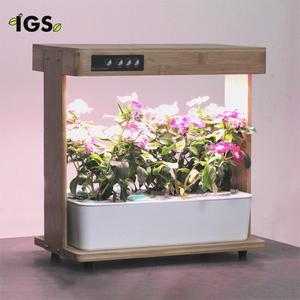 Équipement hydroponique intelligent en bambou, 40 w, système <span class=keywords><strong>de</strong></span> culture hydroponique, éclairage naturel pour jardin intelligent - Product Image 1