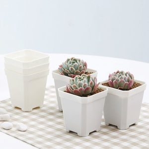 Macetas para suculentas, macetas cuadradas pequeñas para Sedum, tamaño grande, cactus de estilo coreano de aspecto envejecido, macetas cuadradas pequeñas blancas para - Product Image 1