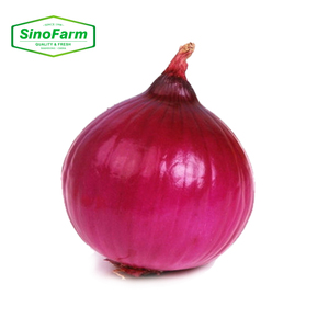 Fresh Red Onion/Onions Exporter