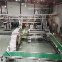 Fruitverwerkingsmachine Sap Productielijn Grote Capaciteit Ananassap Machine