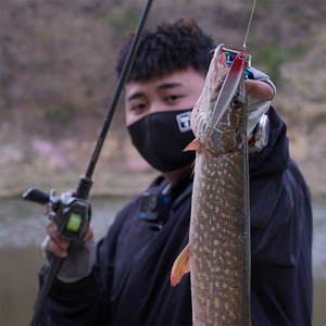 LUTAC Sacred House Fliegendes Messer Vibrierender Sinkender Pencil-Köder Künstlicher Hartköder für Weitwürfe auf Largemouth Bass und Snakehead - Product Image 5