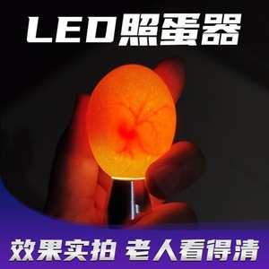 <b>Led</b> <b>Flashlight</b> Portable Aluminum Alloy Blacklight Industrial Use Polished Finish - Product Image 4