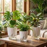 Pot Bunga Plastik PP PET Tanaman Hijau Penanam Tanaman Dengan Wadah Transparan Penyiraman Otomatis