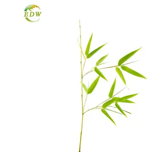 Best Price Bamboo Leaf Rxtract Bamboo Flavonoid Ratio 10:1 Powder