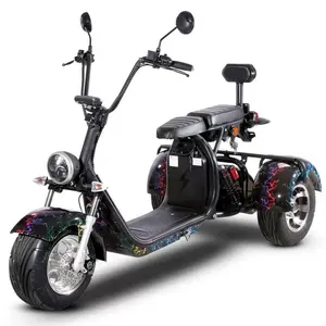 Scooter électrique à trois roues en aluminium de haute qualité, moto, tricycle électrique