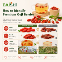 Gedroogde Gojiberry-fruitjes AD Gedroogde biologische Ningxia-oorsprong 280 korrels per 50 g Klaar om te eten Premium kwaliteit Gezond