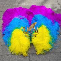 Plumes d'autruche en gros, texture naturelle douce, élégantes, trois tons, pour centres de table, accessoires de mode, présentoirs d'art