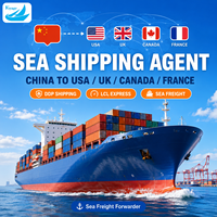 Services logistiques d'agent maritime Chine-USA/Royaume-Uni/Canada/France DDP LCL Express Transitaire maritime porte-à-porte avec support 24/7