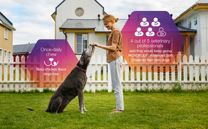 Multivitamínico para perros ODM/OEM-Vitaminas y minerales diarios Masticables suaves-Soporte para las articulaciones, salud del corazón, digestión - Product Image 5