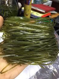 Moringa Oleifera คุณภาพสูงจากเวียดนาม - Product Image 3