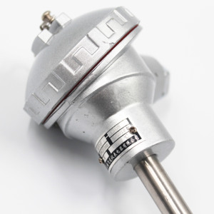 Sensor de Temperatura Industrial Tipo S/B/R, Termopar de Platino y Rodio, Sonda de Acero Inoxidable SS304 Fundido, Personalizable OEM, Monitor de Temperatura - Product Image 1
