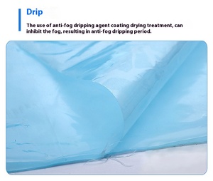 Serra Agricola Monoblocco Grande per Ingrosso, con Film in PO Trasparente, Telo Bianco Ispessito a Lunga Durata, Anti-Goccia, per Ortaggi - Product Image 5