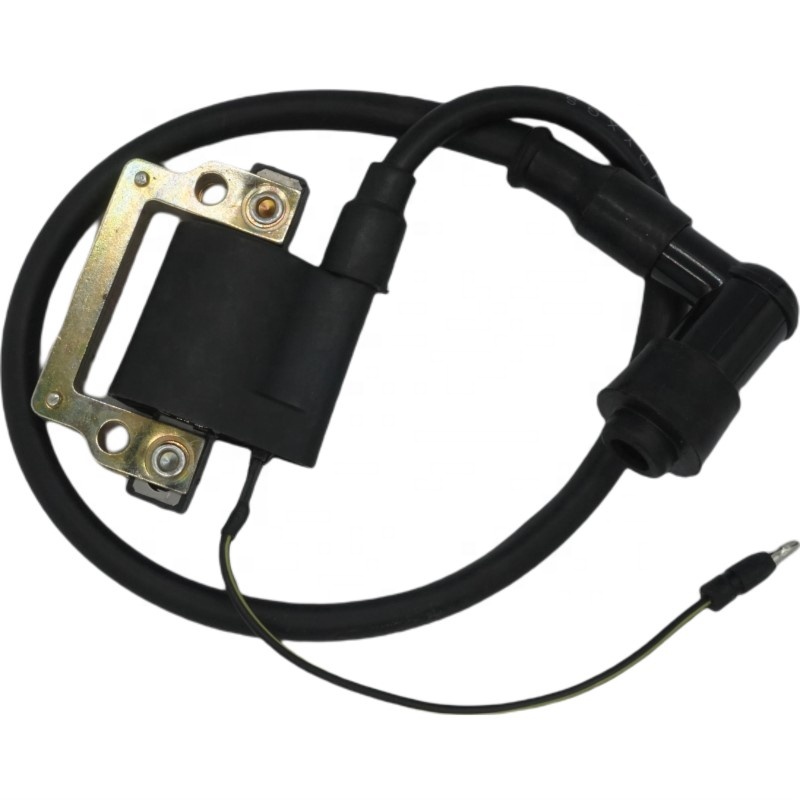 RTS электрозапчасти для мотоциклов 125cc DT 125 DT125 катушка зажигания мотоцикла