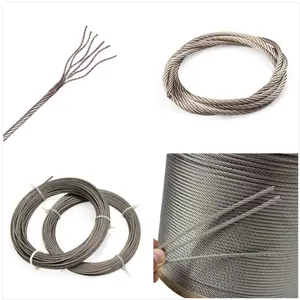 Carbon Steel Hot Dipped Galvanized Bright Steel Wire Rope 1x7 1x19 7x19 Zinc Coated Steel Wire Cable Railing