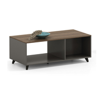 Ensemble de table basse rectangulaire en bois de luxe moderne Foshan pour salon