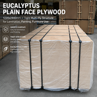 Panneau de contreplaqué commercial 4x8 en eucalyptus, simple face, 1220x2440mm, pour l'Afrique, expédition depuis l'entrepôt américain