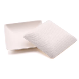 Cucchiaio a forma di cucchiaio biodegradabile biodegradabile biodegradabile Mini canna da zucchero prezzo competitivo - Product Image 4