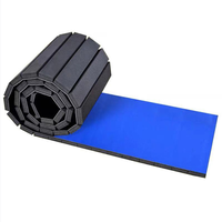 Bestseller Anpassbare Farbe Lila Rutschfester Umweltfreundlicher Teppichboden Cheerleading Tumbling Karate MMA Judo Training-Weich
