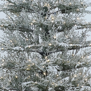 Sapin de Noël artificiel floqué, écologique, pré-éclairé avec des lumières blanc chaud, décoration pour la maison et le bureau - Product Image 3