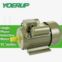 Moteur électrique domestique série YL, 1,1 kW, 2P, 2 pôles, 2800 tr/min, asynchrone monophasé à double condensateur