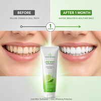 Thé au jasmin naturel personnalisé à marque privée, saveur aux herbes, anti-caries, blanchissant, sans fluor, doux pour les soins, OEM ODM, vente en gros