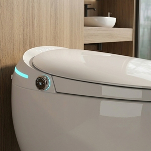 Toilette Intelligente Domestique Entièrement Automatique Multifonctionnelle avec Design en Forme d'Œuf, Sans Réservoir, à Siphon en S, et Télécommande - Product Image 3