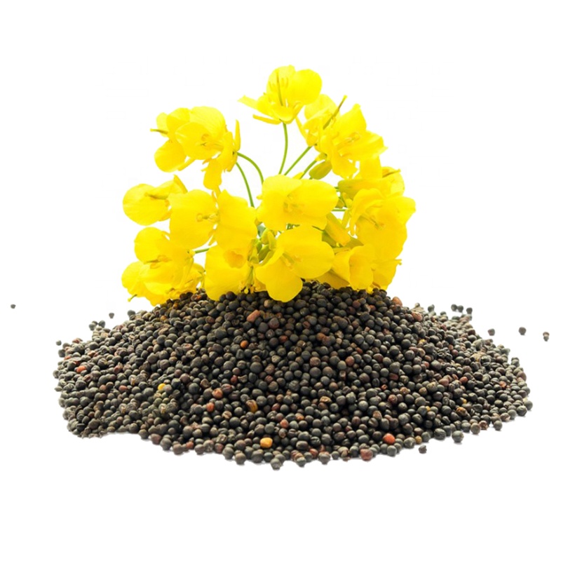 Cas 8016 49 7 Manufacture Supplier 100% pure Canola oil for cosmetics/spa/massage
