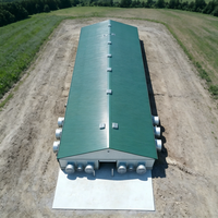 Bâtiments préfabriqués pour poulaillers en métal à construction rapide et économique, abris pour volailles, bâtiments pour fermes avicoles