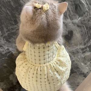 เสื้อผ้าสำหรับแมว, ชุดสำหรับลูกแมว, ชุดสัตว์เลี้ยงป้องกันขนร่วงสำหรับฤดูใบไม้ผลิ/ฤดูร้อน, สไตล์เดวอน แร็กดอลสีทอง, บางและน่ารัก - Product Image 5