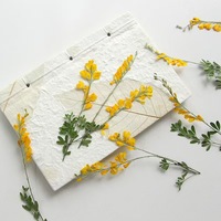 MNR2118 warna kuning asli kering dengan batang bunga Tekan untuk DIY bunga foto karya seni hadiah
