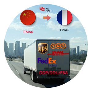 Goedkoopste Logistieke Verzendkosten Fba Koeriersdienst Naar Deur Usa Europa Zee Express Vrachtagent China Expediteur - Product Image 1