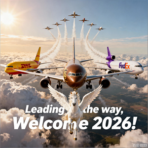 Agente de Envío DDP DDU Profesional, Más Barato y Rápido, de China a Europa, Envío Exprés a UPS DHL Fedex, Servicios Puerta a Puerta FCL LCL - Product Image 2