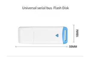 Memoria USB 2.0 con Logotipo Personalizado, Nueva Memoria USB de Plástico en Forma de Barra, Capacidades de 128 GB, 64 GB, 16 GB, 8 GB, Artículos Promocionales, Regalos - Product Image 6