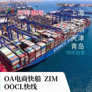 Línea Dedicada de Carga Marítima, Exportación LCL, Envío Exprés, Carga Sobredimensionada, Despacho de Aduanas Incluido, Europa, Sudeste Asiático - Product Image 1