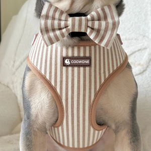 Conjunto de Arnés Personalizado para Perro de Lujo, Correa y Collar Ajustables para Cachorro, Bolsa para Heces de Mascota, Arnés y Correa Transpirables de Neopreno para Perro - Product Image 1