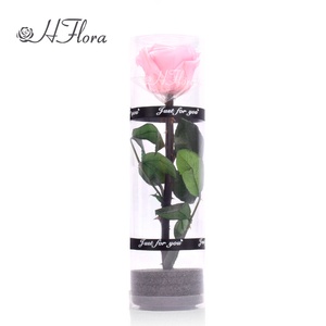 Cadeau d'anniversaire, de Saint-Valentin, de <span class=keywords><strong>la</strong></span> fête des mères, de remise de diplôme, de Noël, de mariage, roses <span class=keywords><strong>éternelle</strong></span>s préservées faites à <span class=keywords><strong>la</strong></span> main, hauteur 20 cm - Product Image 1