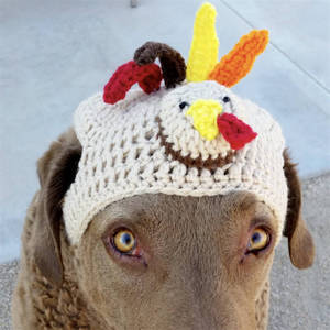 Chapeau pour animaux de compagnie en crochet fait main en forme de dinde, Nouvel accessoire pour animaux de compagnie pour Halloween, Casquette amusante pour déguisement de fête pour chat et chien, Coiffe de festival pour animaux de compagnie - Product Image 5