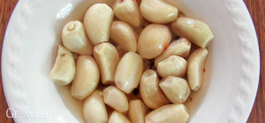 กระเทียมปอกเปลือกสด ผลิตตามมาตรฐาน ใหม่เก็บเกี่ยว คุณภาพสีขาว รับประกันคุณภาพ จัดส่งจากสหราชอาณาจักร - Product Image 3