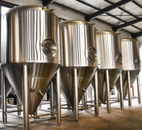 Système de brasserie de bière, 800l, réservoir de fermentation, équipement de brasserie de bière