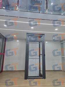 Promotion : Mini-ascenseur domestique ou ascenseur LULA ou ascenseur à usage et application limités - Product Image 5