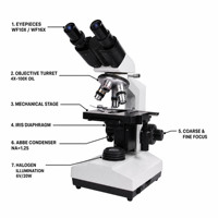 40X 1600X Binocular Biological Microscope with Articulated Head and 100X Oil for Medical School and Laboratory Research