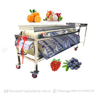 Gelgoog Fabriek Prijs Data Classifier Jujube Sorteermachine Datum Palm Sorteren Machine