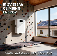 Baterai Lithium Ion 16kWh 48V 51.2V 314Ah untuk Sistem Penyimpanan Baterai Surya, Terpasang di Dinding dengan Roda