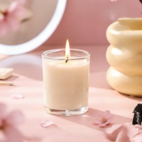 Diffuseur de parfum sans flamme et ensemble de bougies en cire de soja non toxiques, parfum longue durée, parfait pour la maison