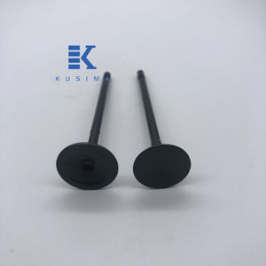 Soupape de moteur d'admission et d'échappement 2.0T 204PT pour Land Rover, moteur essence, OE LR091764 LR091763 - Product Image 4