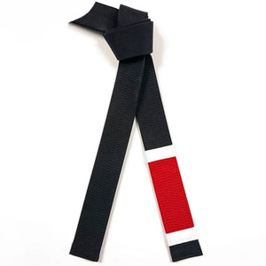Cinturones de Jiu Jitsu Juveniles de Alta Calidad, Personalizables y Fabricados Profesionalmente, Equipo de Artes Marciales de Primera Calidad - Product Image 1