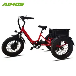 48V 500W 750W Dikke Band Driewieler Elektrische Bakfiets 20 Inch Elektrische Trike Dikke Band 3 Wiel Elektrische Driewieler